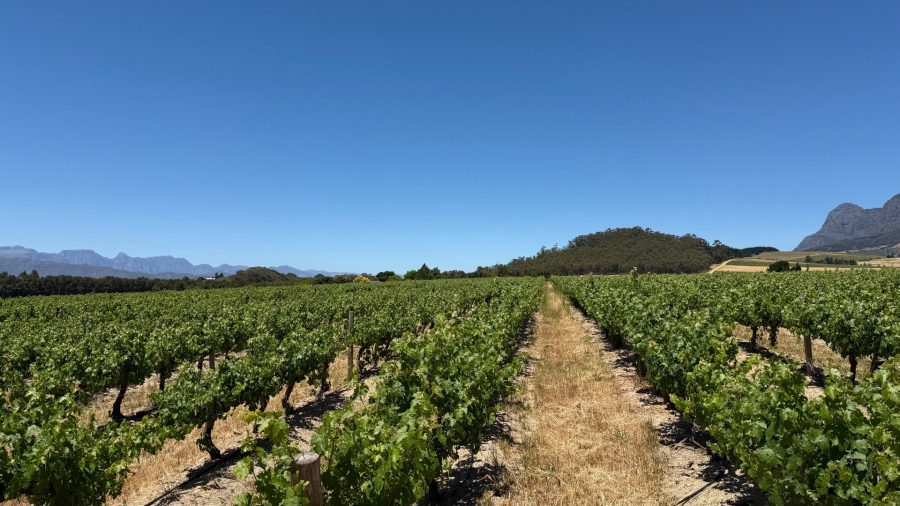 0 Bedroom Property for Sale in Klapmuts Western Cape